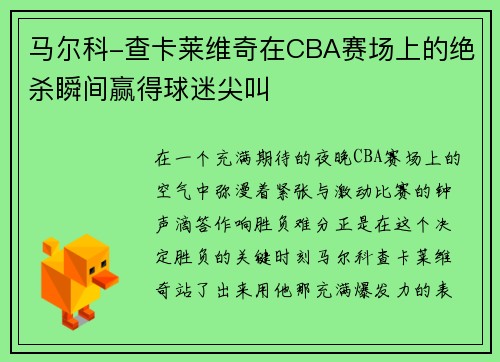 马尔科-查卡莱维奇在CBA赛场上的绝杀瞬间赢得球迷尖叫